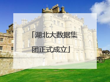 湖北大数据集团正式成立