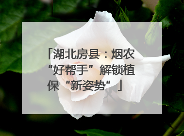 湖北房县：烟农“好帮手”解锁植保“新姿势”