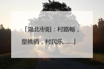 湖北枣阳：村路畅，皇桃俏，村民乐……