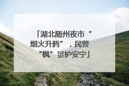 湖北随州夜市“烟火升腾”，民警“枫”景护安宁