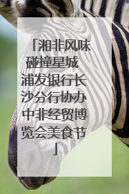 湘非风味碰撞星城 浦发银行长沙分行协办中非经贸博览会美食节