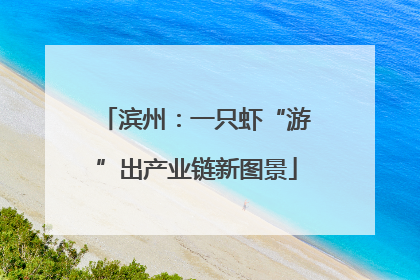 滨州：一只虾“游”出产业链新图景