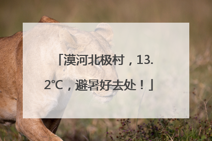 漠河北极村，13.2℃，避暑好去处！