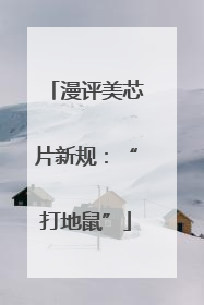 漫评美芯片新规：“打地鼠”