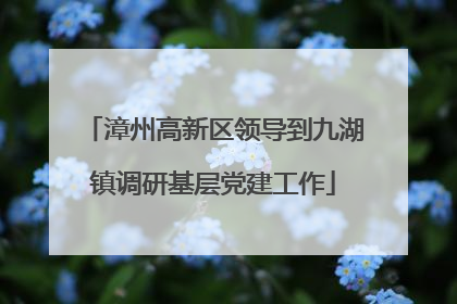 漳州高新区领导到九湖镇调研基层党建工作