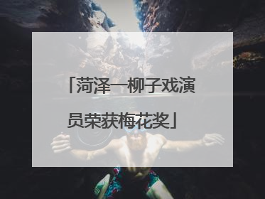 菏泽一柳子戏演员荣获梅花奖