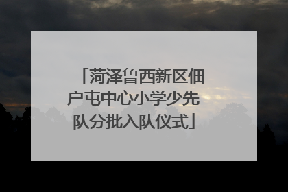 菏泽鲁西新区佃户屯中心小学少先队分批入队仪式