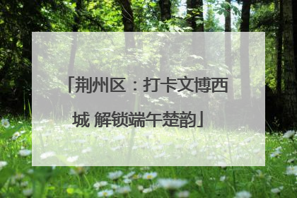 荆州区：打卡文博西城 解锁端午楚韵