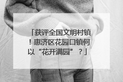 获评全国文明村镇！惠济区花园口镇何以“花开满园”？