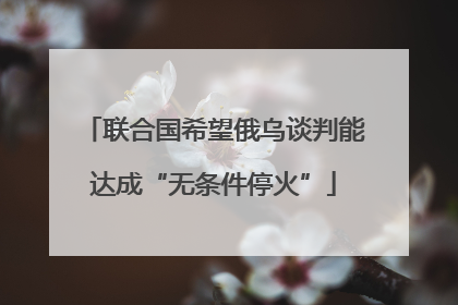 联合国希望俄乌谈判能达成“无条件停火”