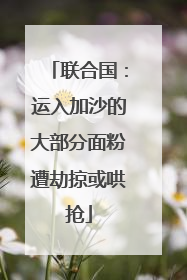 联合国：运入加沙的大部分面粉遭劫掠或哄抢