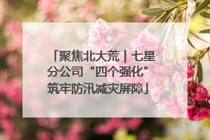 聚焦北大荒｜七星分公司“四个强化”筑牢防汛减灾屏障