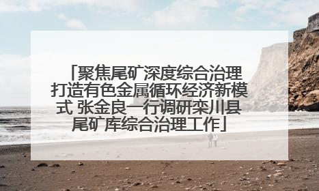 聚焦尾矿深度综合治理 打造有色金属循环经济新模式 张金良一行调研栾川县尾矿库综合治理工作