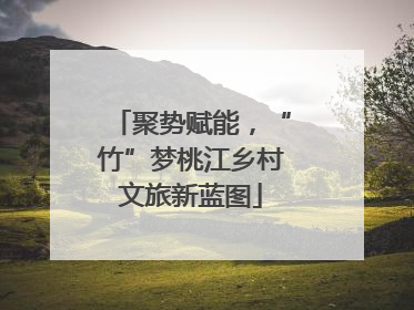 聚势赋能，“竹”梦桃江乡村文旅新蓝图