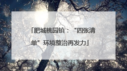 肥城桃园镇：“四张清单”环境整治再发力