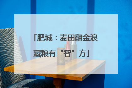 肥城：麦田翻金浪藏粮有“智”方