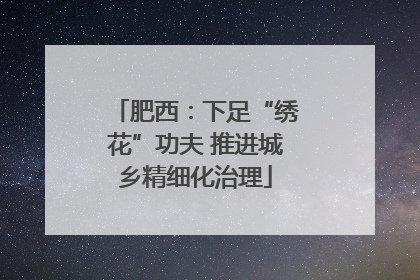 肥西：下足“绣花”功夫 推进城乡精细化治理