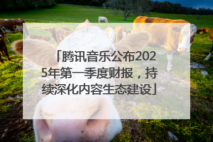 腾讯音乐公布2025年第一季度财报，持续深化内容生态建设
