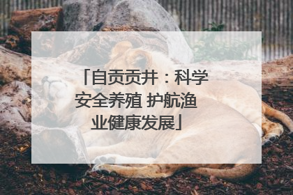 自贡贡井：科学安全养殖 护航渔业健康发展