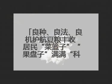 良种、良法、良机护航夏粮丰收 居民“菜篮子”“果盘子”满满“科技范儿”