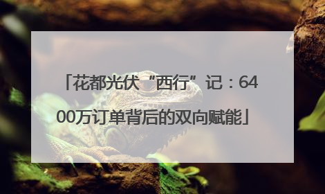花都光伏“西行”记：6400万订单背后的双向赋能
