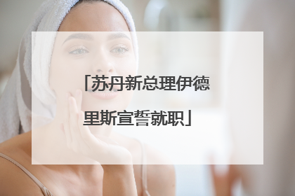 苏丹新总理伊德里斯宣誓就职