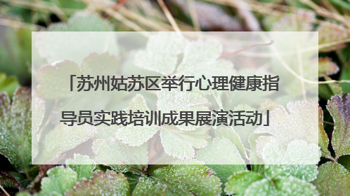 苏州姑苏区举行心理健康指导员实践培训成果展演活动