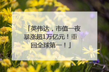 英伟达，市值一夜暴涨超1万亿元！重回全球第一！