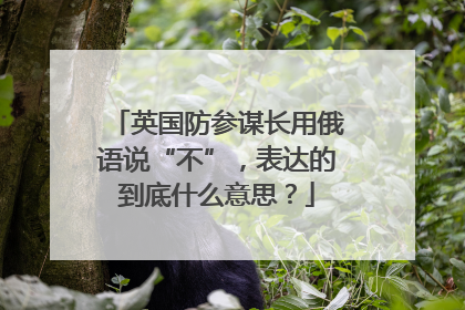 英国防参谋长用俄语说“不”，表达的到底什么意思？