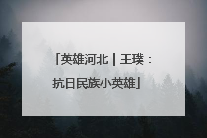 英雄河北｜王璞：抗日民族小英雄