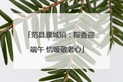 范县濮城镇：粽香迎端午 情暖敬老心