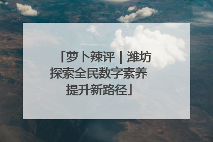 萝卜辣评｜潍坊探索全民数字素养提升新路径
