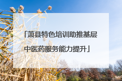 萧县特色培训助推基层中医药服务能力提升