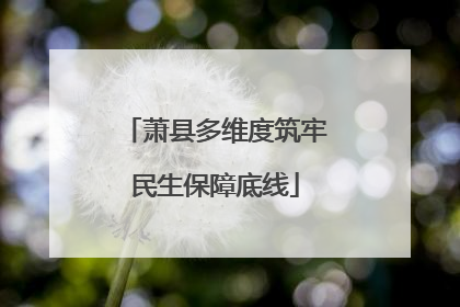 萧县多维度筑牢民生保障底线