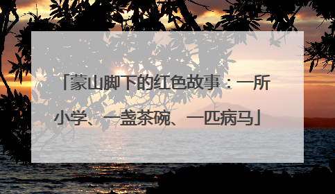 蒙山脚下的红色故事：一所小学、一盏茶碗、一匹病马