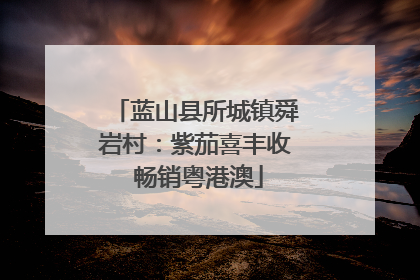 蓝山县所城镇舜岩村：紫茄喜丰收 畅销粤港澳