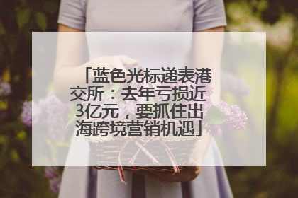 蓝色光标递表港交所：去年亏损近3亿元，要抓住出海跨境营销机遇
