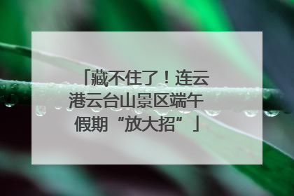 藏不住了！连云港云台山景区端午假期“放大招”