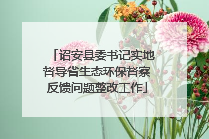 诏安县委书记实地督导省生态环保督察反馈问题整改工作