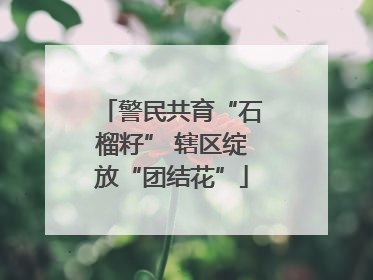 警民共育“石榴籽” 辖区绽放“团结花”