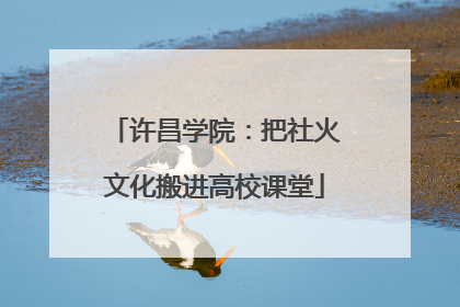 许昌学院：把社火文化搬进高校课堂
