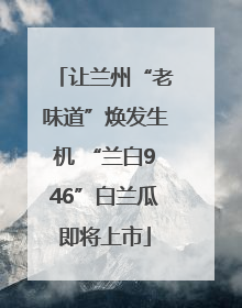 让兰州“老味道”焕发生机 “兰白946”白兰瓜即将上市