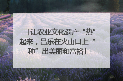 让农业文化遗产“热”起来，昌乐在火山口上“种”出美丽和富裕