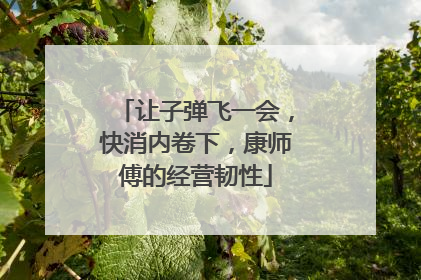 让子弹飞一会，快消内卷下，康师傅的经营韧性