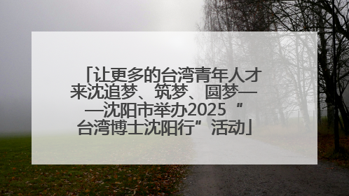 让更多的台湾青年人才来沈追梦、筑梦、圆梦——沈阳市举办2025“台湾博士沈阳行”活动