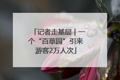 记者走基层｜一个“百草园”引来游客2万人次
