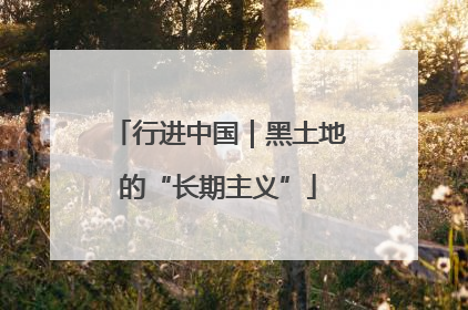 行进中国｜黑土地的“长期主义”