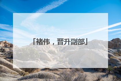 褚伟，晋升副部