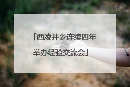 西凌井乡连续四年举办经验交流会