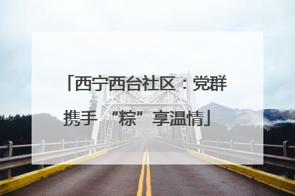 西宁西台社区:党群携手 “粽”享温情